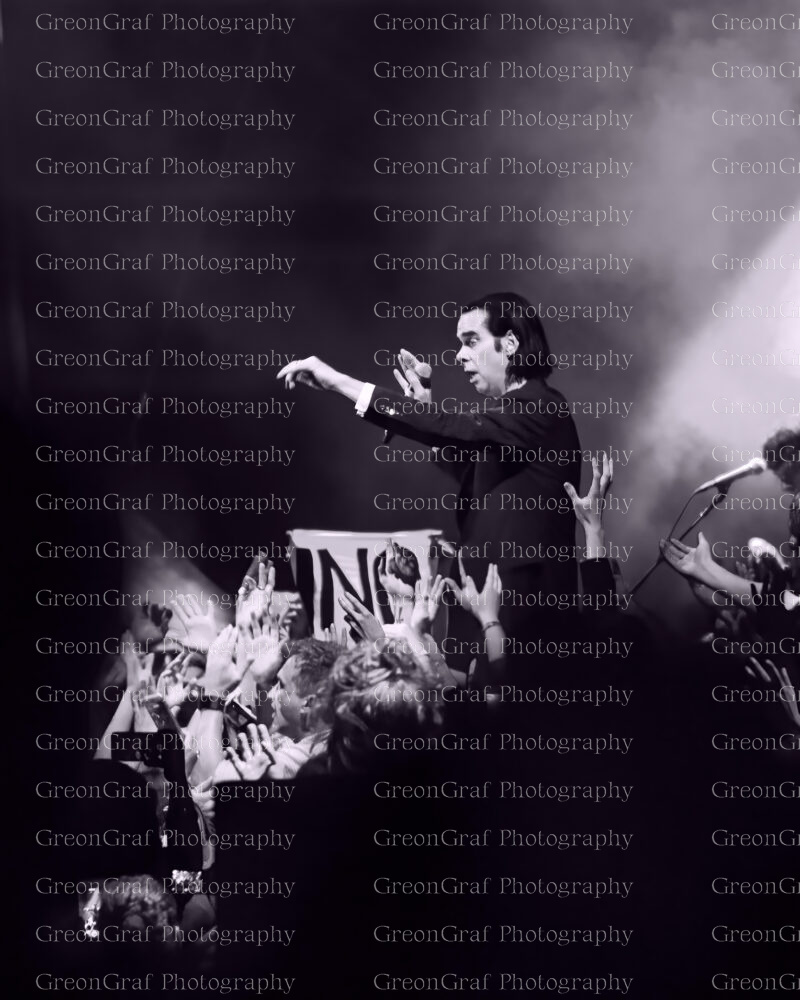 Nick Cave